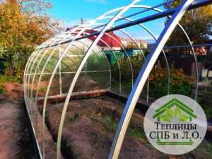 Арочная теплица 25х25-9